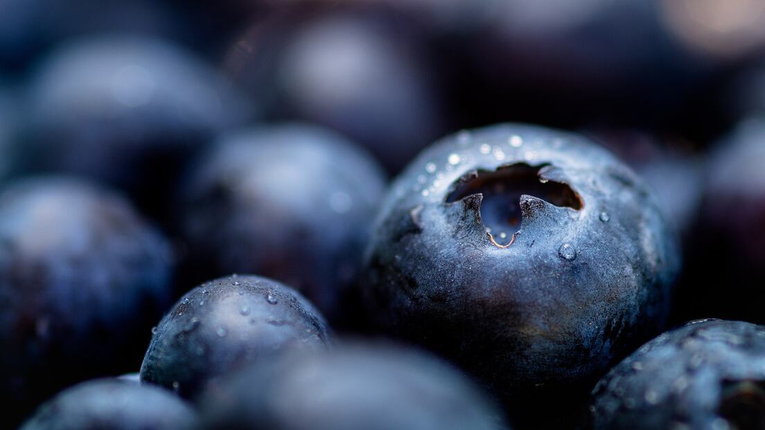 Arándanos para el cerebro. Fuente: Pixabay