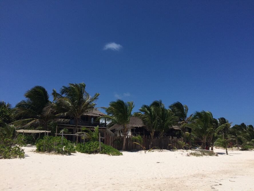 Intentan nuevo desalojo en zona costera de Tulum