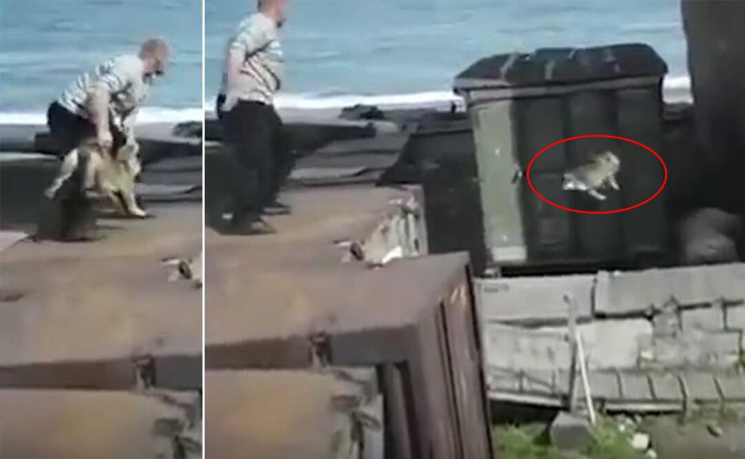 Foto: tomada de YouTube