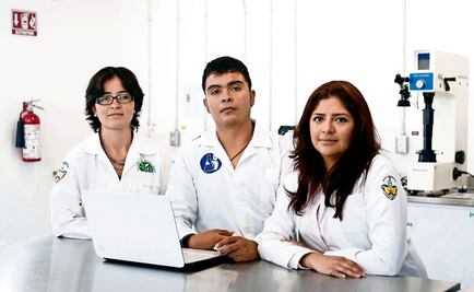 Mexican Academy of Sciences suspends activities due to lack of funds