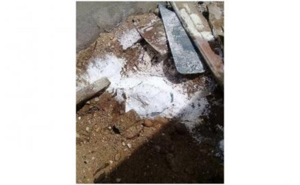 Rescatan a 12 perros moribundos en Oaxaca