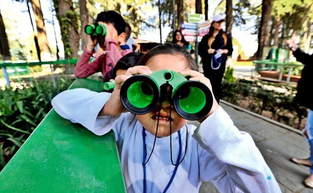 Estudiantes de educación básica y trabajadores se beneficiarán de los descansos de noviembre 2023. Foto: Archivo EL UNIVERSAL