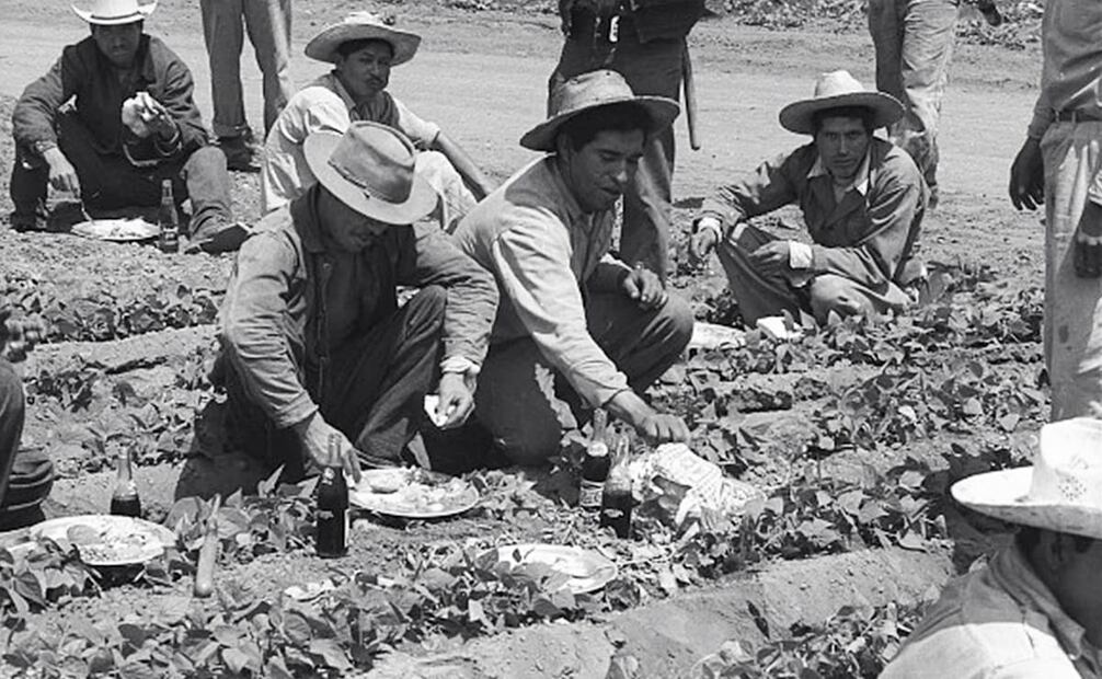 Trabajadores durante su hora de comida en campos estadounidenses, 1956. Los braceros legalizados siempre debían portar sus papeles para acreditar su permiso de trabajo si querían evitar que los confundieran con “espaldas mojadas”. Foto: Leonard Nadel/National Museum of American History/ESPECIAL.