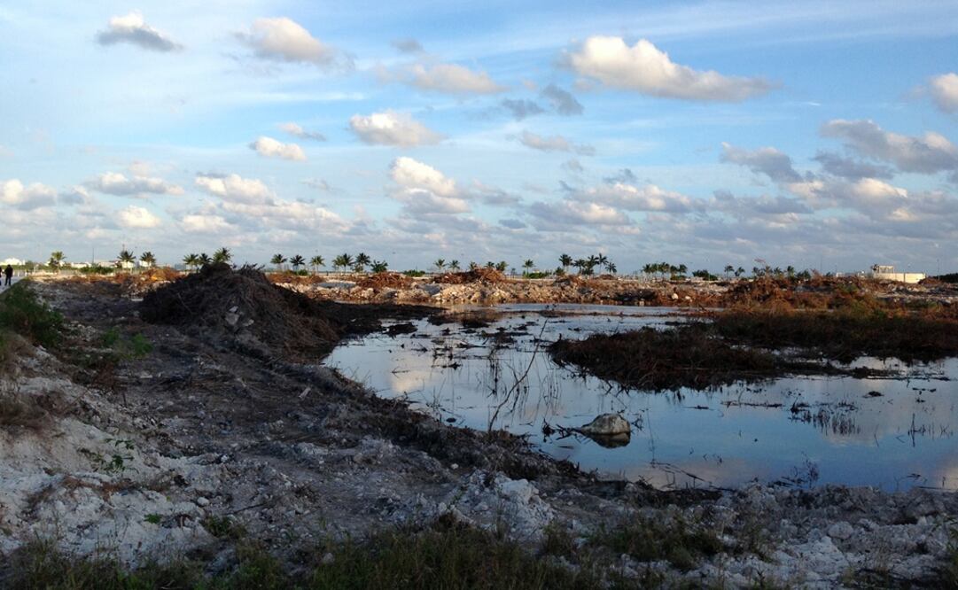 Una ciudadana interpuso un recurso que mantiene detenidas las obras en Tajamar. /Archivo - EL UNIVERSAL