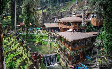 Disfruta del frío y el bosque en el parque nacional de La Marquesa