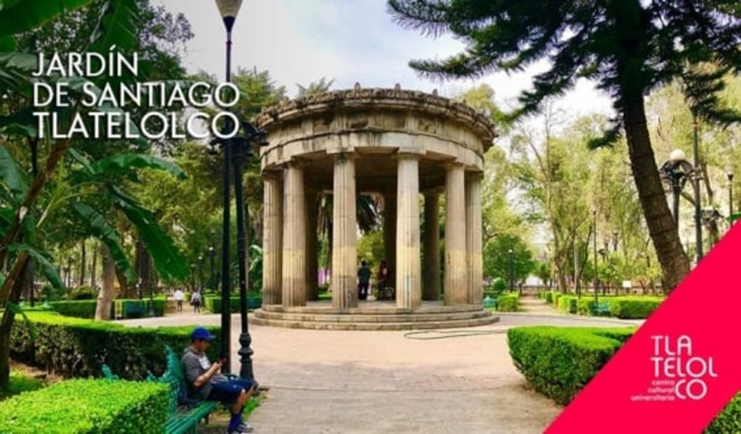 Jardines que debes visitar en la CDMX