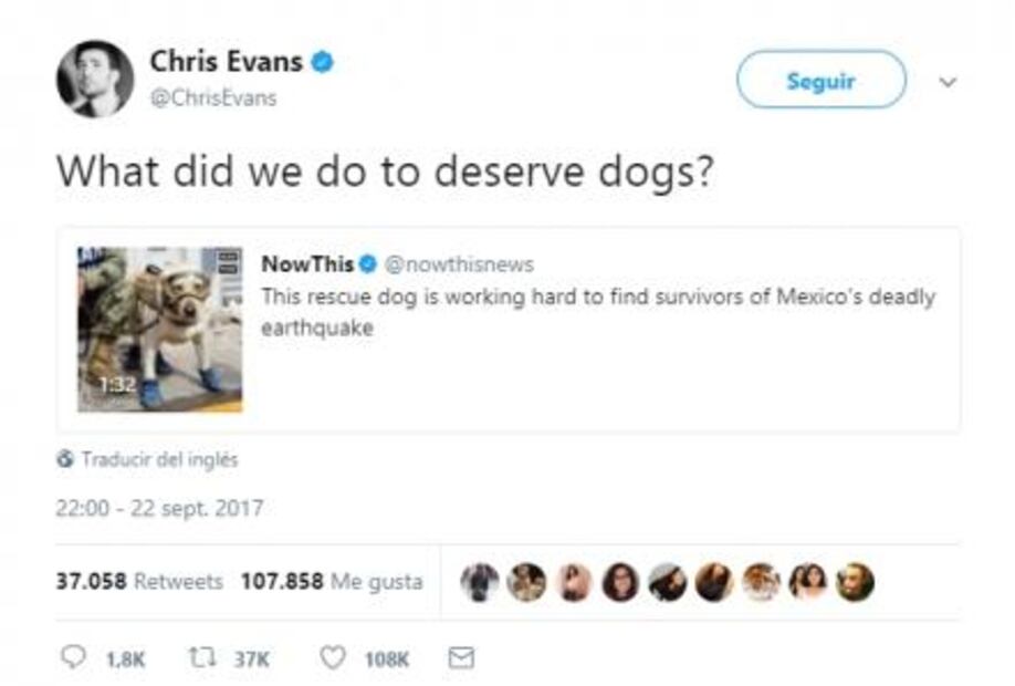 Chris Evans admira a la perrita rescatista “Frida"