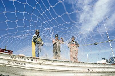 Urgen a renovar técnicas de pesca