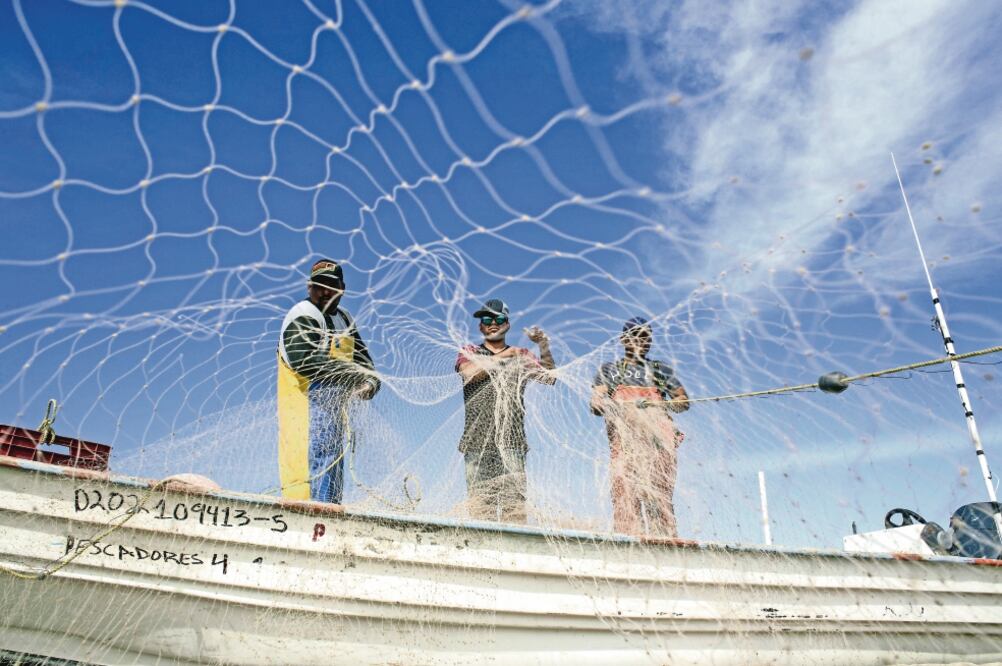 Sin tiempo. El programa Defenders of Wildlife en México acusa a la Conapesca de retrasar la implementación de técnicas de pesca. (ARCHIVO EL UNIVERSAL)