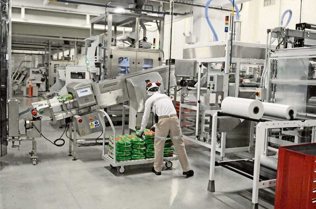 La consultoría Roland Berger estima que el sector industrial tendrá un mejor desempeño en 2026