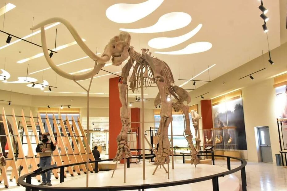 Museo Paleontológico de Santa Lucía Quinamétzin. Foto: Especial