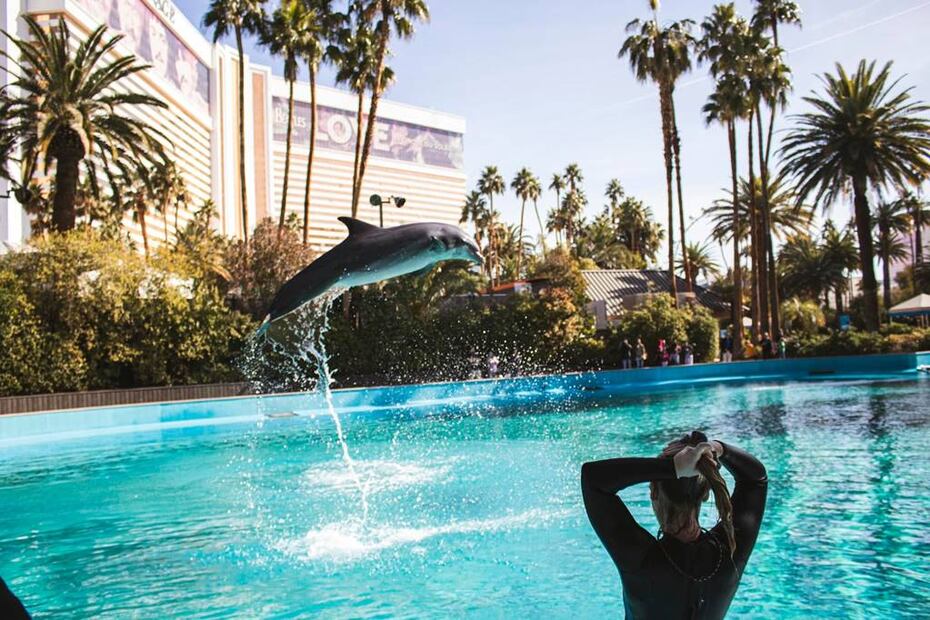 Foto: The Mirage Hotel and Casino