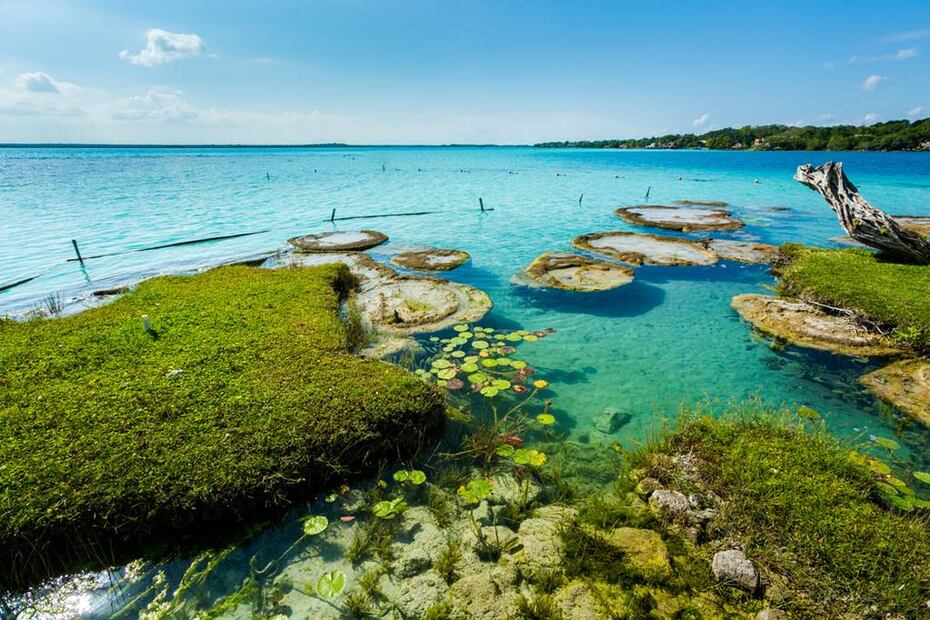 Foto: Istock