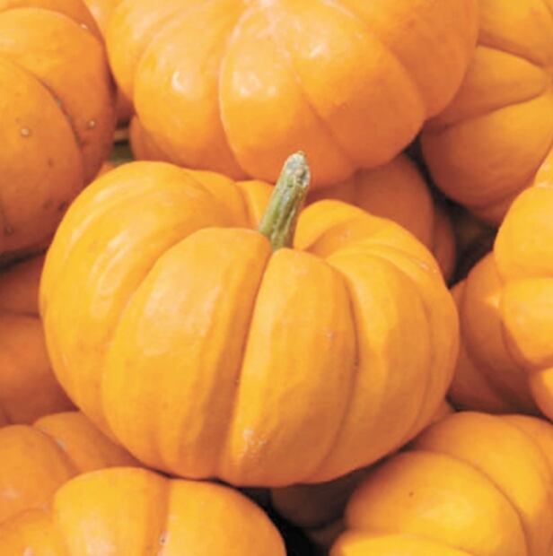 ¿Por qué se usan calabazas en Halloween y Día de Muertos?