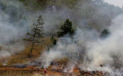 Refuerzan medidas para reducir incendios en Chiapas