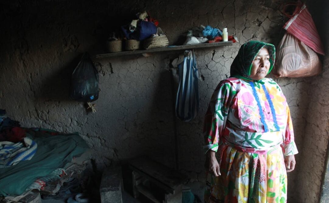 The states of Oaxaca, Yucatán, Chiapas, Quintana Roo, Guerrero, Hidalgo, Campeche, Puebla, San Luis Potosí, and Veracruz have the most indigenous language speakers in the country - Photo: Luis Cortes/EL UNIVERSAL