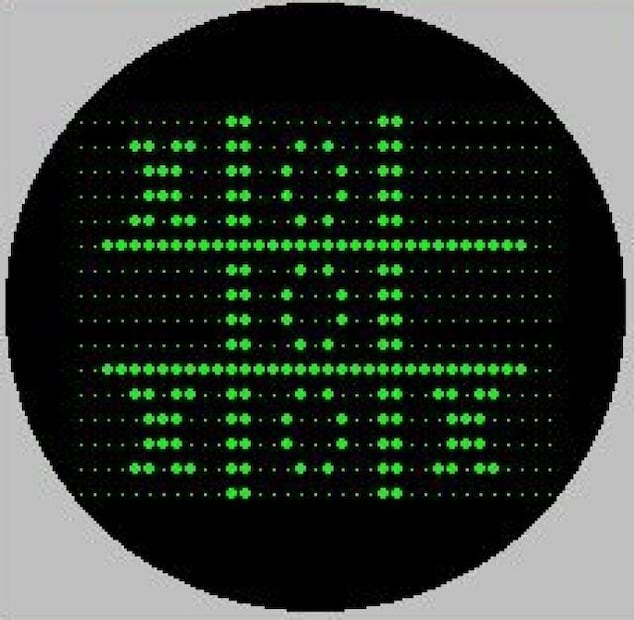 OXO