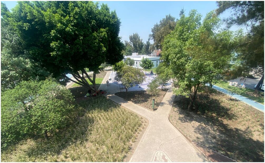 Declaran áreas de valor ambiental a 6 parques ubicados en las alcaldías Tlalpan, Coyoacán, Venustiano Carranza, Cuauhtémoc e Iztapalapa. Foto: Alberto Acosta / EL UNIVERSAL
