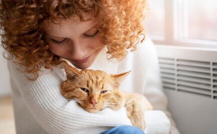 10 razones para adoptar un gato si vives solo, según la ciencia