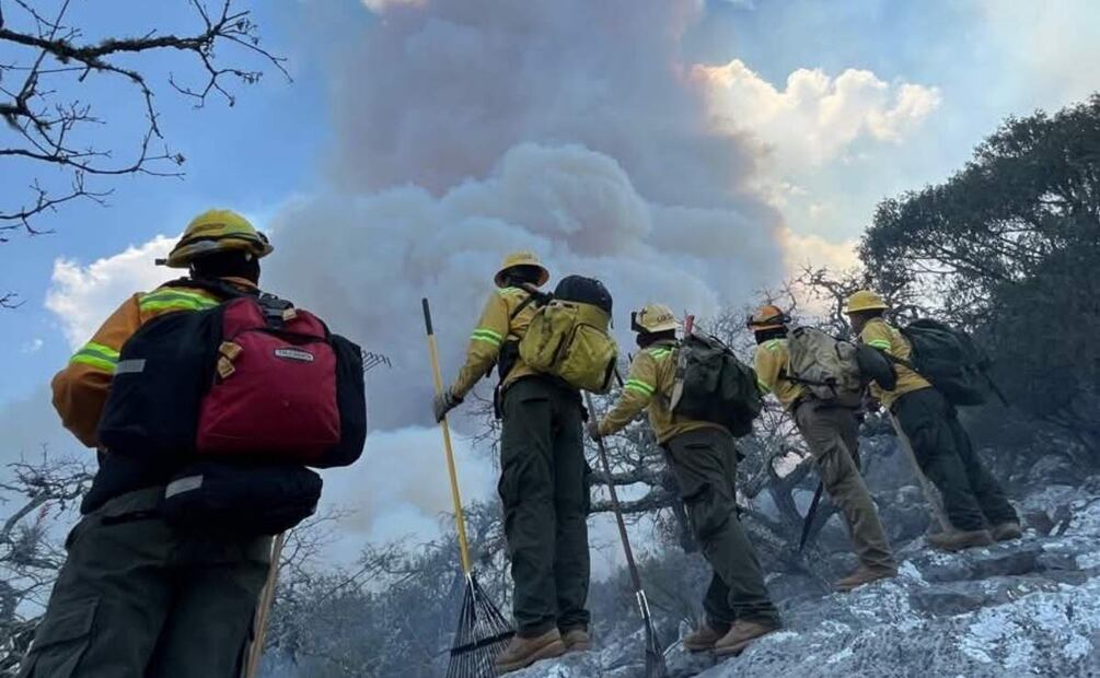 Brigadistas apoyan en labores de combate al fuego en Oaxaca (08/05/2025). Foto: Especial