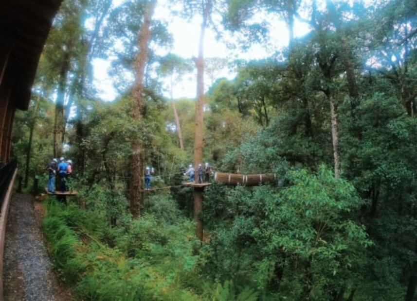 Conoce Zacatlán Adventure | Tirolesas y glamping en medio del bosque