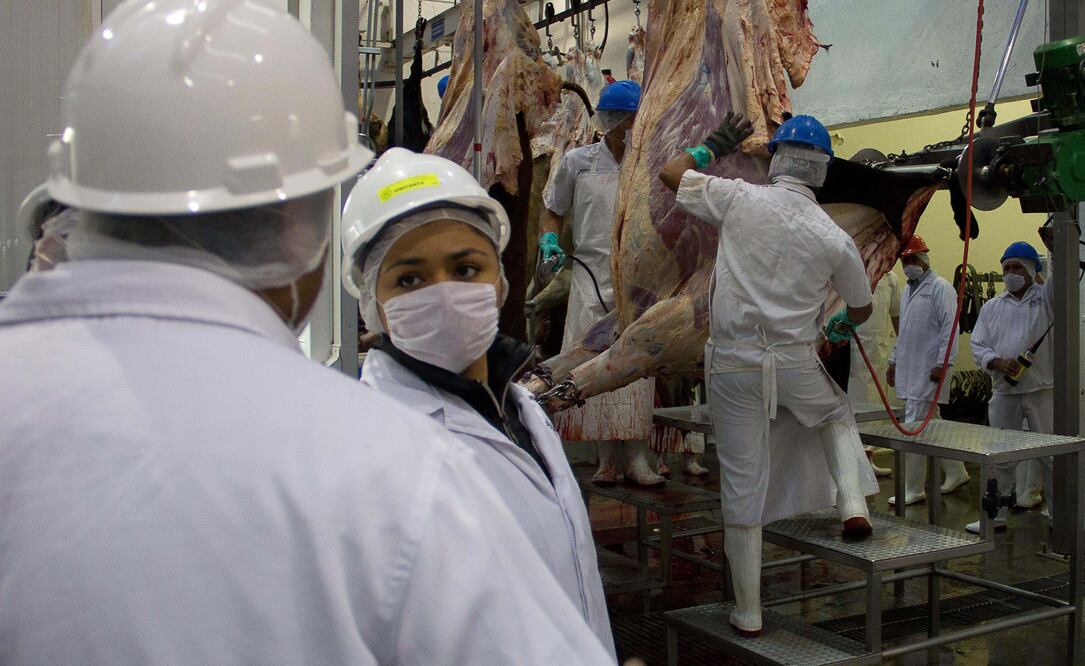 Los aranceles incluyen tarifas de 20% a las importaciones definitivas de piernas, paletas y otros tipos de carne de cerdo. Foto: Archivo