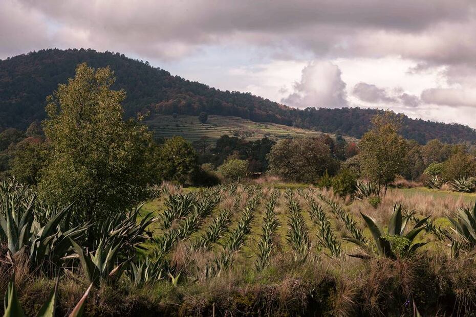 Foto: Glamping Octli