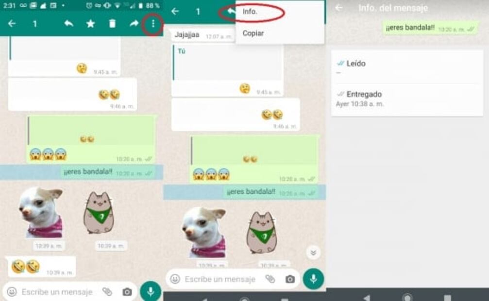 5 cosas que puedes hacer en WhatsApp y seguro no sabías
