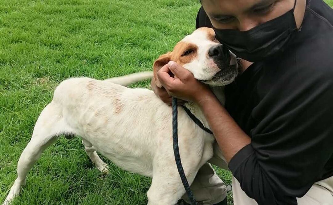 La dueña de Leo lo entregó de manera voluntaria en presencia de personal de la PAOT. Foto: Especial 