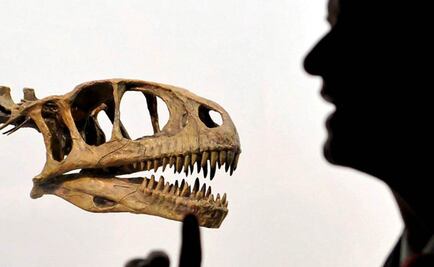 Extinciones masivas acelerarían la evolución