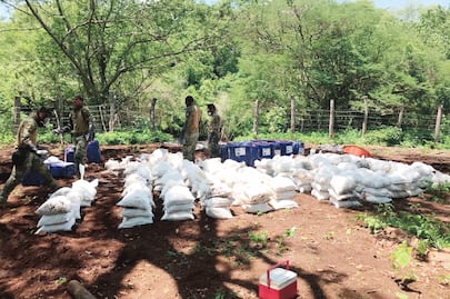 Decomisan 10 toneladas de droga sintética en Sinaloa