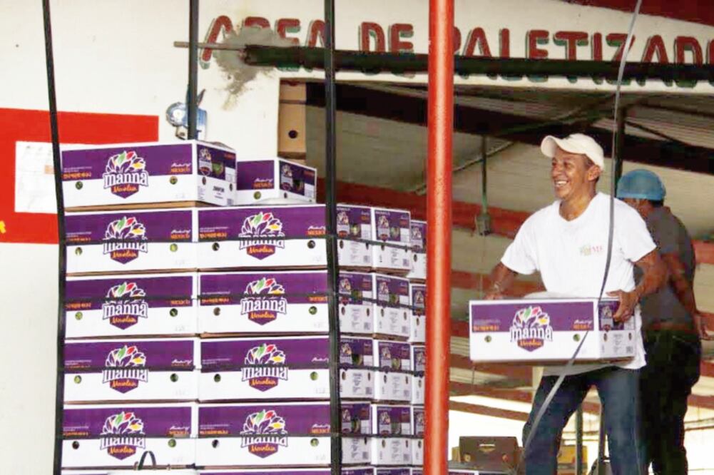 Comercio. Para CitiBanamex, si se termina el TLCAN, pueden incrementar los impuestos de 2% a 3% en las exportaciones a EU.