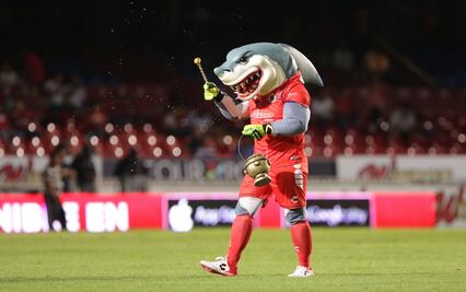 El "Tibu Jarocho" consigue un nuevo equipo