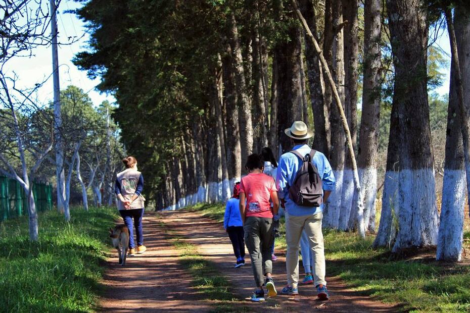 Foto: Rancho El Mayab