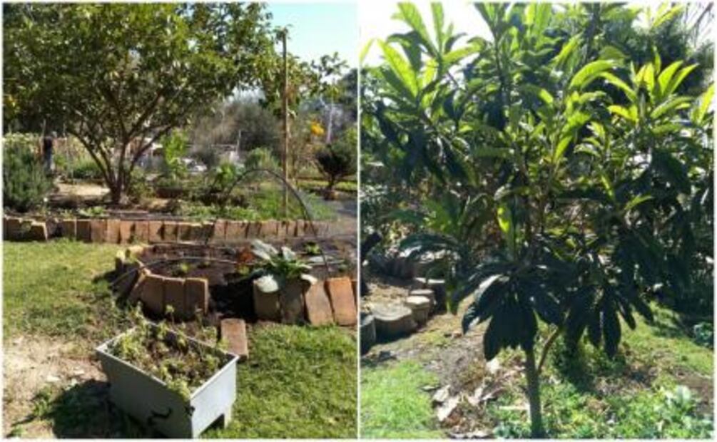 Reconocidos chefs buscan impulsar la cultura agraria