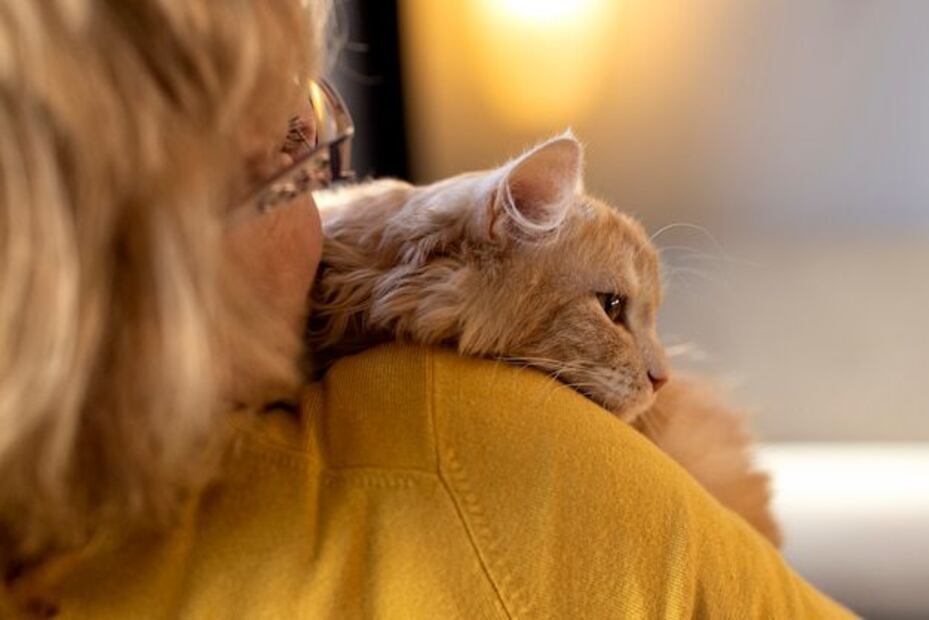 Que un gato se frote y muerda a su dueño no siempre es una señal de agresión. Fuente: Freepik.