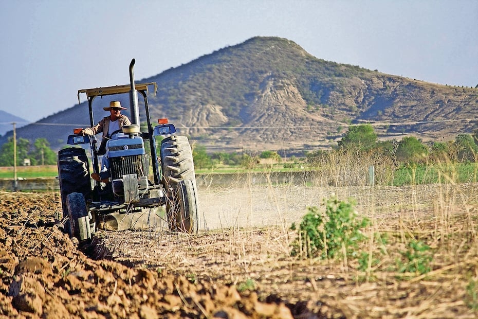SEMBRANDO VIDa NO FRENÓ ÉXODO MEXICANO