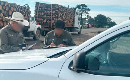 Clausuran 4 aserraderos clandestinos y decomisan más de 135 metros cúbicos de madera en 26 estados; hay 10 detenidos
