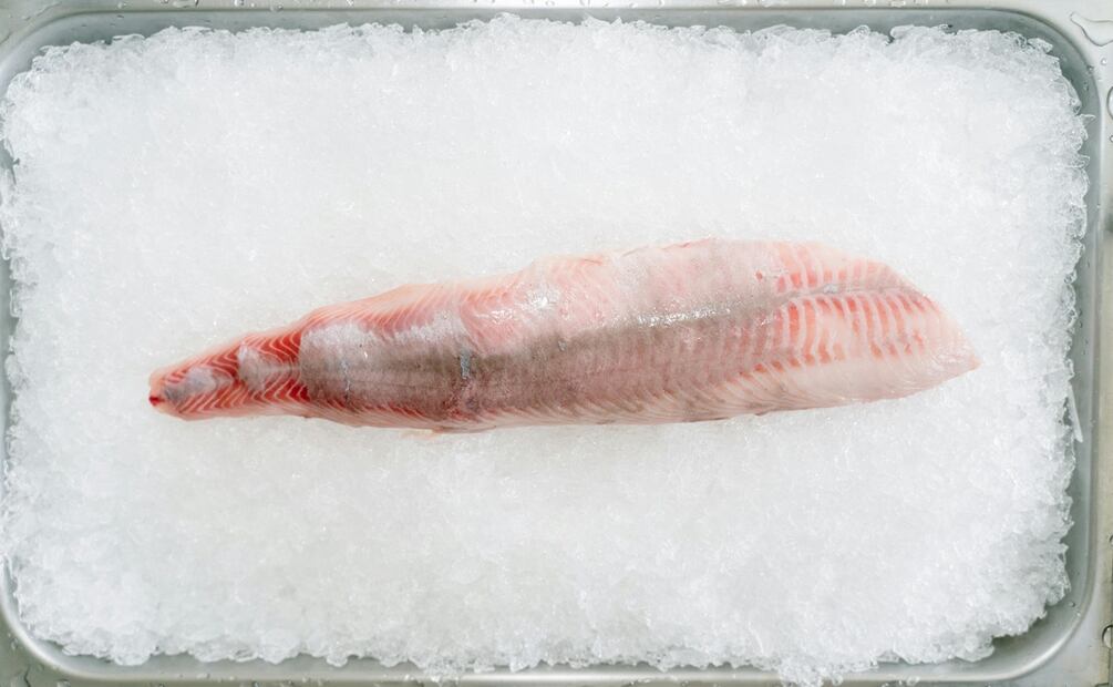 ¿Cómo limpiar el pescado? Foto: Pexels