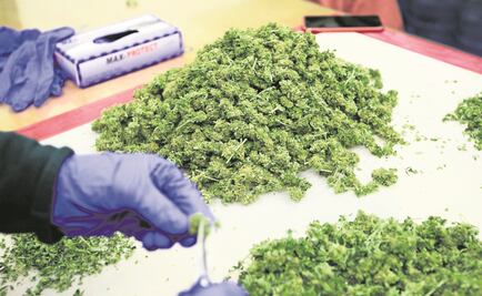 Proponen a AMLO gradual despenalización de drogas