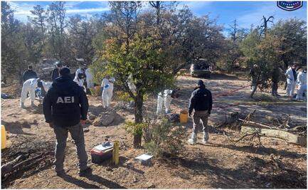 Suman 33 cuerpos inhumados en fosas clandestinas en "El Willi" en Casas Grandes, Chihuahua; continúan trabajos de identificación