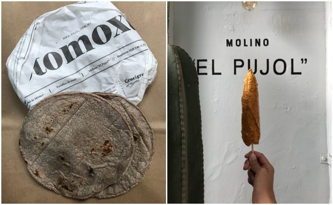 Fotos Natalia de la Rosa / Docena de tortillas y elote con mayonesa de chicatana