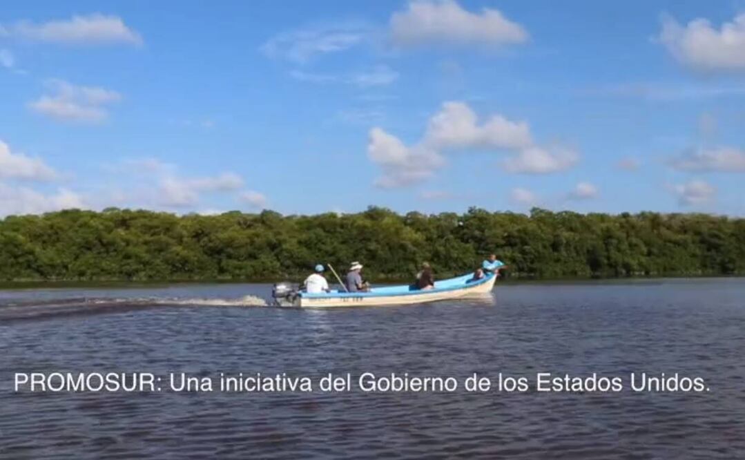 Foto: Captura de pantalla 