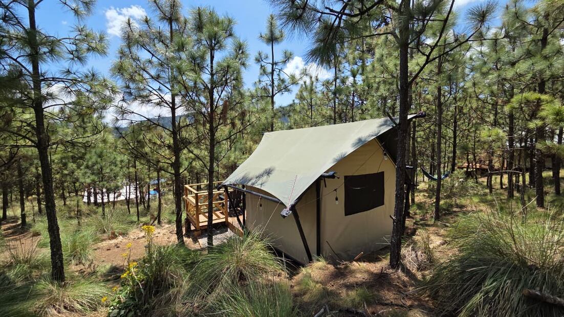 Entre pinos y encinos, este glamping ofrece una experiencia única. Foto: Lobo Glamp