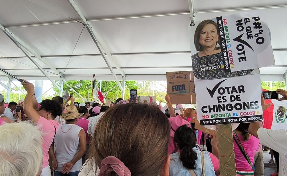 "Marcha Rosa" alcanzó a Cancún, Playa del Carmen y Chetumal. Foto: Andrea Varillas