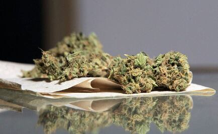 Fallan a favor de 4 yucatecos para consumir marihuana de manera legal 