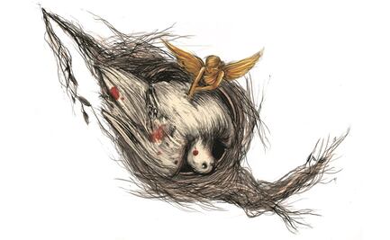 Violencia y corrupción son los retos en DH