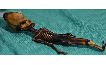 Resuelven el misterio del 'alien' de Atacama