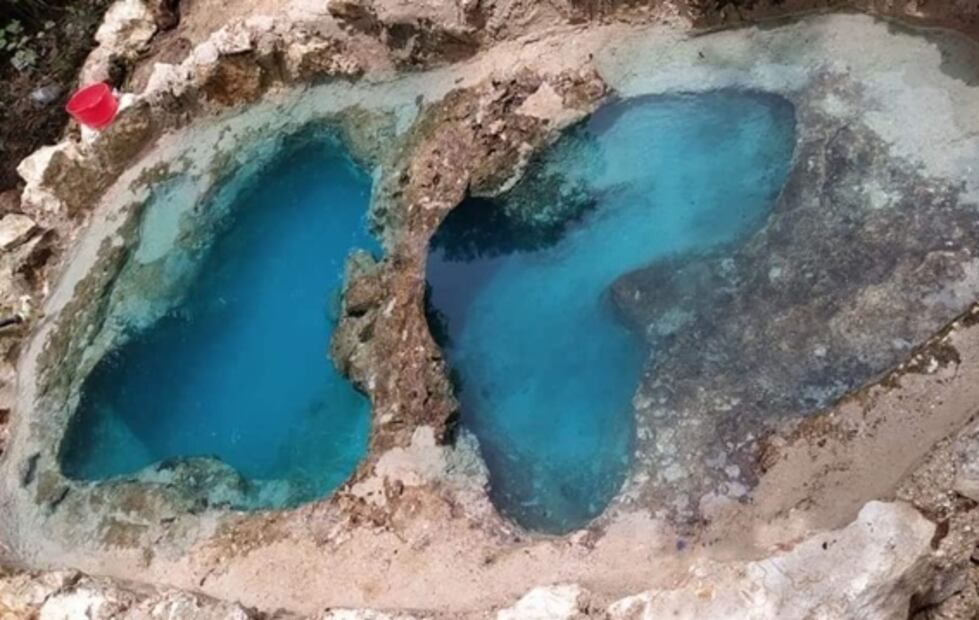 Viral: familia yucateca crea minicenote en el patio de su casa