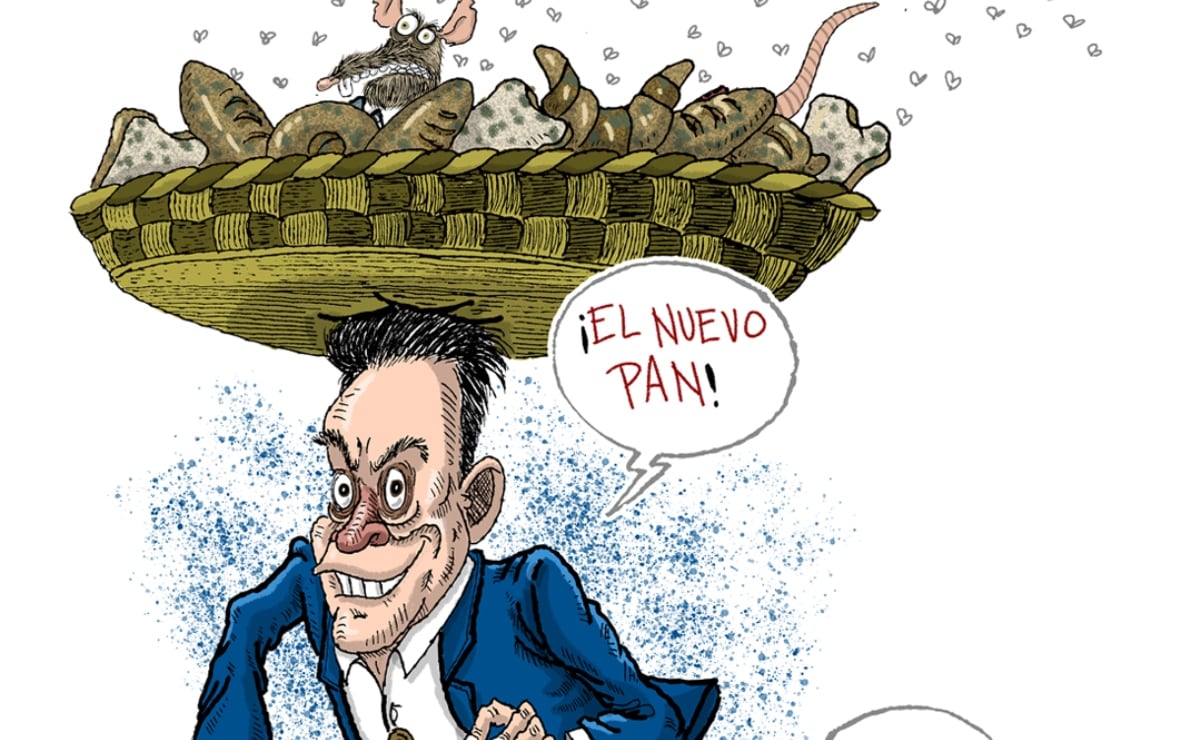 Cartón de FER
